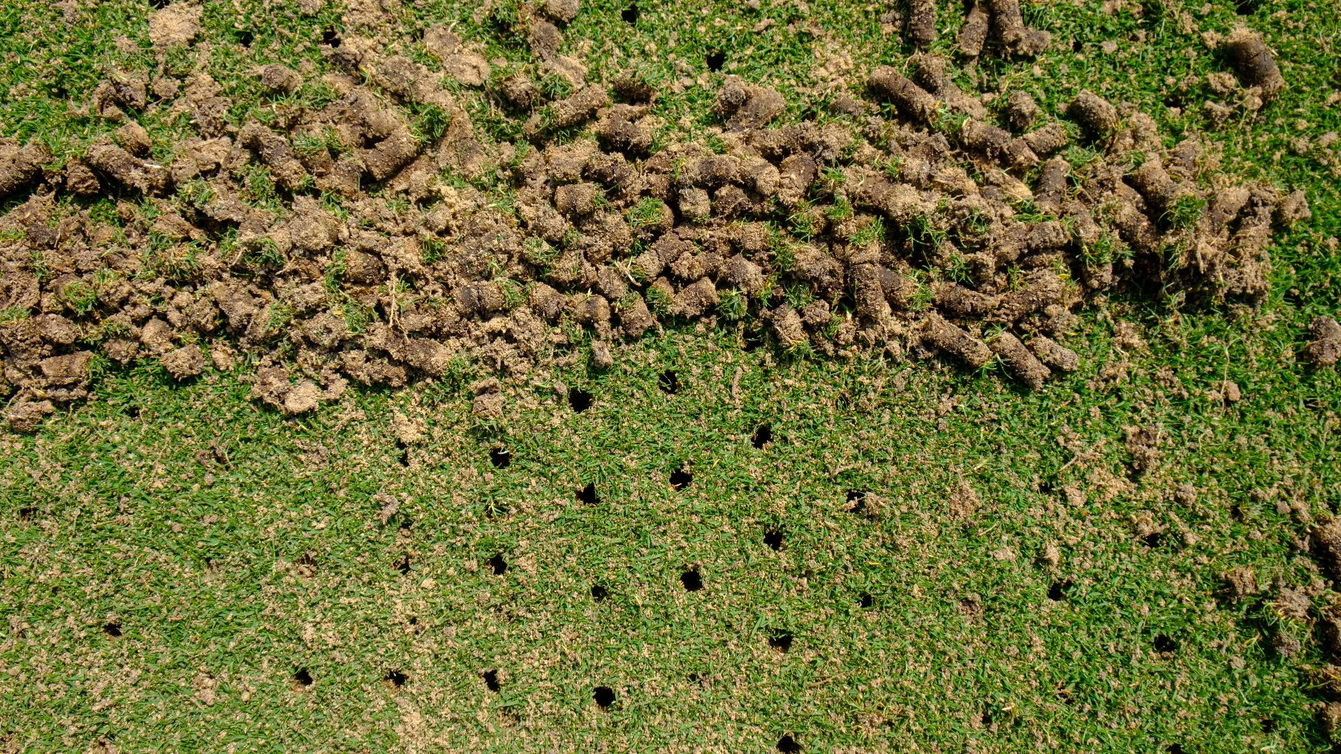 Don't Worry - The Clumps of Soil on Your Lawn After Aeration Is Normal!