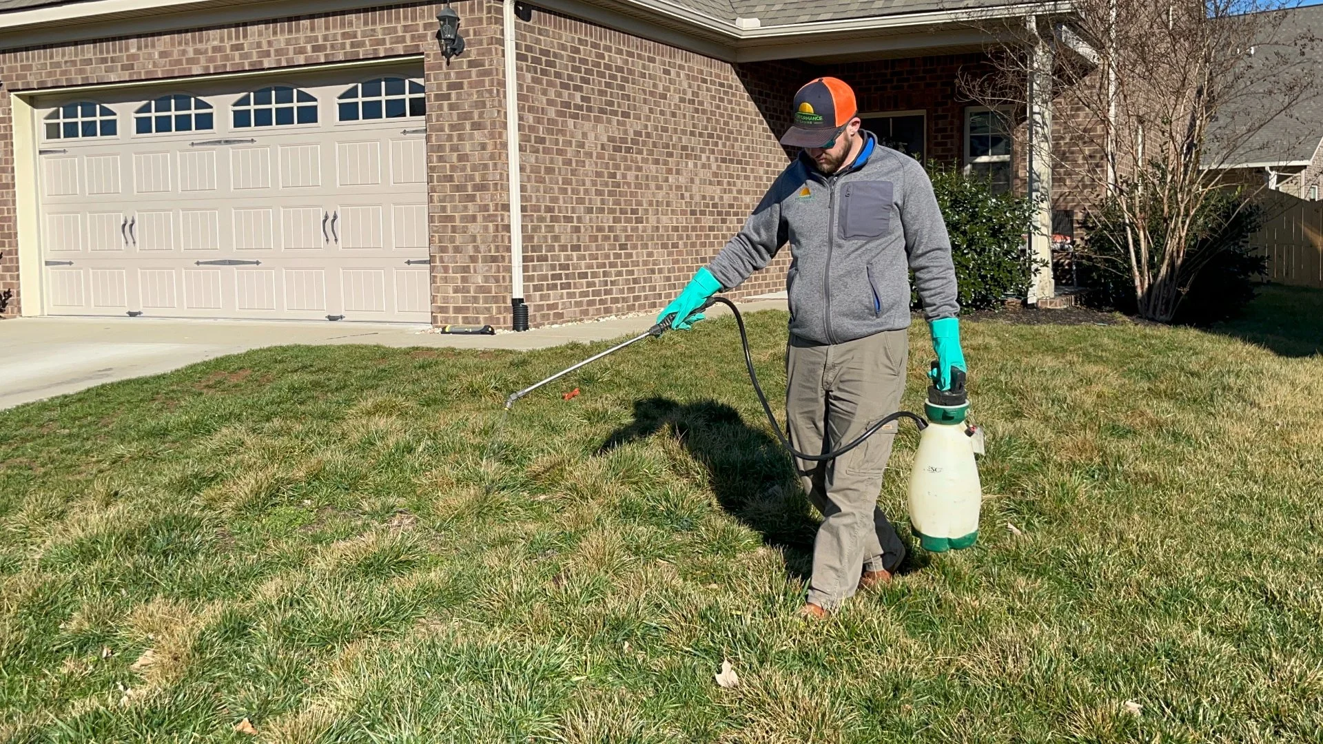 Does Your Lawn Need Pre-Emergent Weed Control in the Spring?